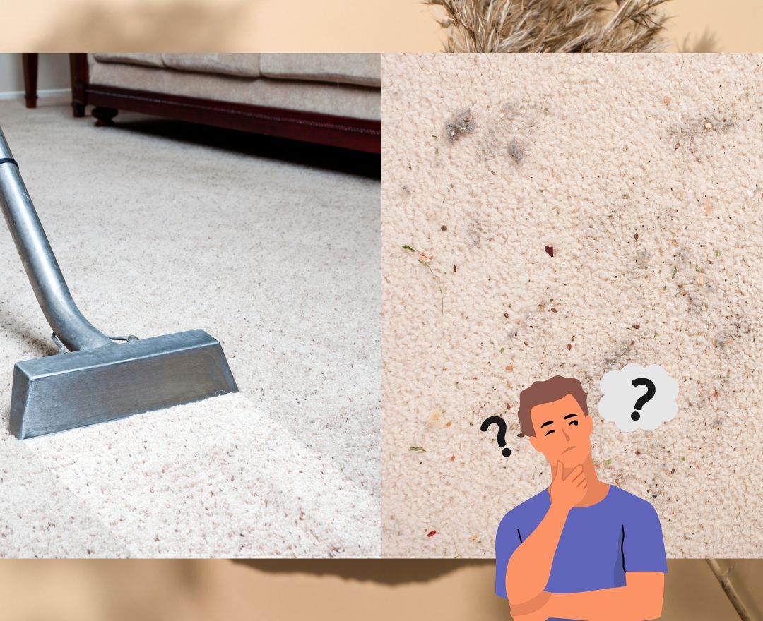 Do Carpets Get Dirty Faster After Cleaning
